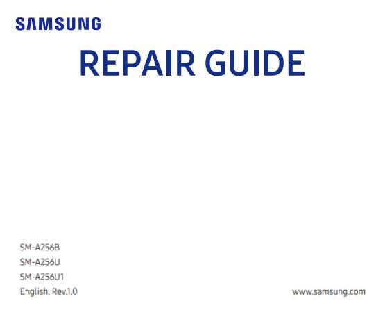 Service Guide For A256-G