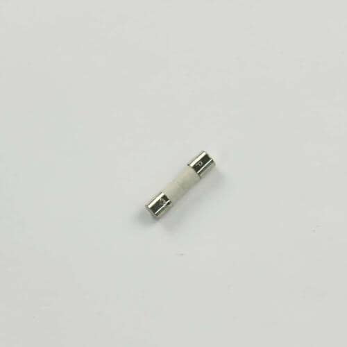 Samsung BN81-04739A Fuse