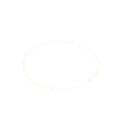 Samsung DE81-08744A Svc O Ring D Burner