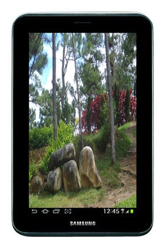 Samsung GTP3113TSSXAR Galaxy Tab (8Gb) 7-Inch Android Tablet